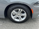 Thumbnail image of 2023 Dodge Charger at Garden City Jeep Chrysler