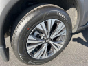 Thumbnail image of 2023 Nissan Rogue at Bergstrom Chevrolet of Green Bay