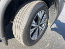 Thumbnail image of 2023 Nissan Rogue at Bergstrom Chevrolet of Green Bay