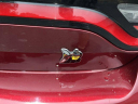 2023 Dodge Charger Scat Pack at CJDR Anniston - New