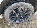 Thumbnail image of 2019 Dodge Durango at Joseph Buick GMC Truck Inc.