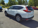 Thumbnail image of 2019 Honda CR-V at Empire Ford