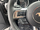 Thumbnail image of 2019 Ford Mustang at EurobahnBmwMiniMercedesBenz of Greensboro, NC