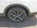 Thumbnail image of 2022 Volkswagen Tiguan at GuntherVolkswagenDelrayBeach - USED