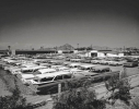 Thumbnail image of 2022 Ford Explorer at Courtesy Chevrolet- Phoenix, AZ