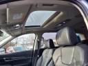 Thumbnail image of 2023 Kia Telluride at Davis Motors Inc.