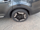 Thumbnail image of 2023 Kia Telluride at Davis Motors Inc.