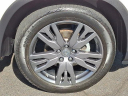 Thumbnail image of 2022 Honda Pilot at J L Freed Honda (Used)