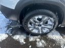 Thumbnail image of 2023 Kia Seltos at Kia Of Lansing