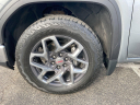 Thumbnail image of 2023 GMC Sierra 1500 at Cavender Toyota