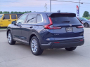 Thumbnail image of 2024 Honda CR-V at Serra Honda Bmw Of Champaign