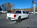 Thumbnail image of 2022 Ford F-150 at Champion Ford