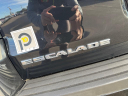 Thumbnail image of 2017 Cadillac Escalade at PERFECT 10 AUTO