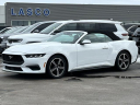 2024 Ford Mustang EcoBoost at Lasco Ford