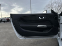 Thumbnail image of 2024 Ford Mustang at Lasco Ford