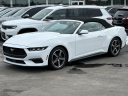 Thumbnail image of 2024 Ford Mustang at Lasco Ford