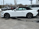 Thumbnail image of 2024 Ford Mustang at Lasco Ford