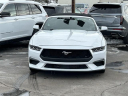 Thumbnail image of 2024 Ford Mustang at Lasco Ford