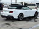 Thumbnail image of 2024 Ford Mustang at Lasco Ford