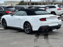 Thumbnail image of 2024 Ford Mustang at Lasco Ford