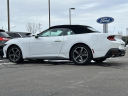 Thumbnail image of 2024 Ford Mustang at Lasco Ford