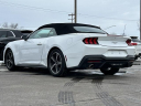 Thumbnail image of 2024 Ford Mustang at Lasco Ford