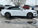 Thumbnail image of 2024 Ford Mustang at Lasco Ford