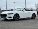 Thumbnail image of 2024 Ford Mustang at Lasco Ford