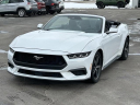 Thumbnail image of 2024 Ford Mustang at Lasco Ford