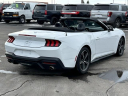 Thumbnail image of 2024 Ford Mustang at Lasco Ford