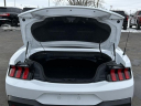Thumbnail image of 2024 Ford Mustang at Lasco Ford
