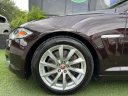 Thumbnail image of 2015 Jaguar XF at Cars of Tampa Inc