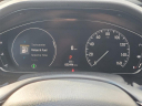Thumbnail image of 2022 Honda Accord at Serra Honda Brighton