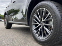 Thumbnail image of 2022 Lexus NX 350 at Lexus of Smithtown