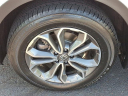 Thumbnail image of 2022 Honda CR-V at J L Freed Honda (Used)