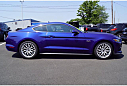 Thumbnail image of 2016 Ford Mustang at Toms Ford