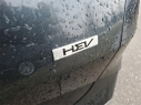 Thumbnail image of 2023 Kia Sportage Hybrid at Grand Blanc Nissan