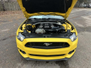 Thumbnail image of 2017 Ford Mustang at Golling Chrysler Dodge Jeep Ram