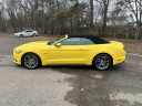 Thumbnail image of 2017 Ford Mustang at Golling Chrysler Dodge Jeep Ram