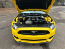 Thumbnail image of 2017 Ford Mustang at Golling Chrysler Jeep Dodge Ram of Chelsea
