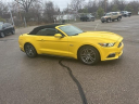 Thumbnail image of 2017 Ford Mustang at Golling Chrysler Jeep Dodge Ram of Chelsea