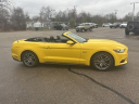 Thumbnail image of 2017 Ford Mustang at Golling Chrysler Jeep Dodge Ram of Chelsea