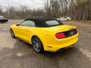 Thumbnail image of 2017 Ford Mustang at Golling Chrysler Jeep Dodge Ram of Chelsea
