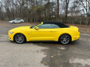 2017 Ford Mustang GT Premium at Golling Chrysler Jeep Dodge Ram of Chelsea