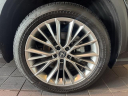 Thumbnail image of 2025 Lexus NX 350 at Lexus Of Lehigh Valley