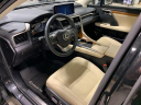 Thumbnail image of 2022 Lexus RX 350 at Lexus of Southampton
