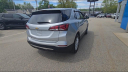 Thumbnail image of 2022 Chevrolet Equinox at Walier Chevrolet