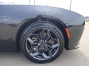 Thumbnail image of 2025 Dodge Charger at Wetzel Chrysler Jeep Dodge Ram