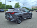 Thumbnail image of 2024 Lexus NX 250 at Lexus Of Nashville - Downtown
