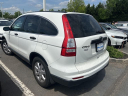 Thumbnail image of 2011 Honda CR-V at Hamilton Honda